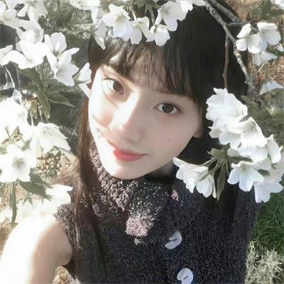 万物生灵第一季